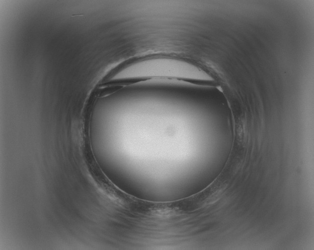 X0000063520540200602032112