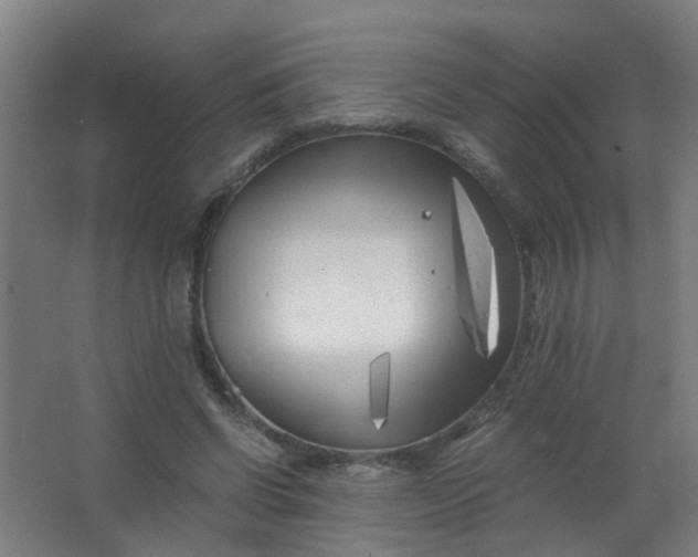 X0000063520542200602032112