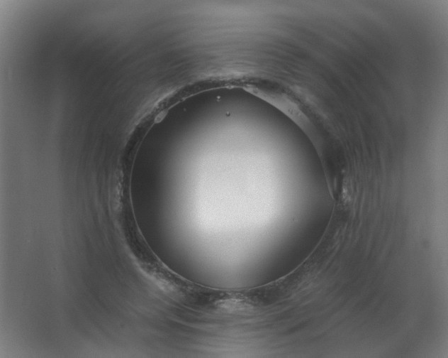 X0000063520544200602032112