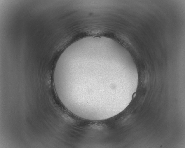 X0000063520545200602032112