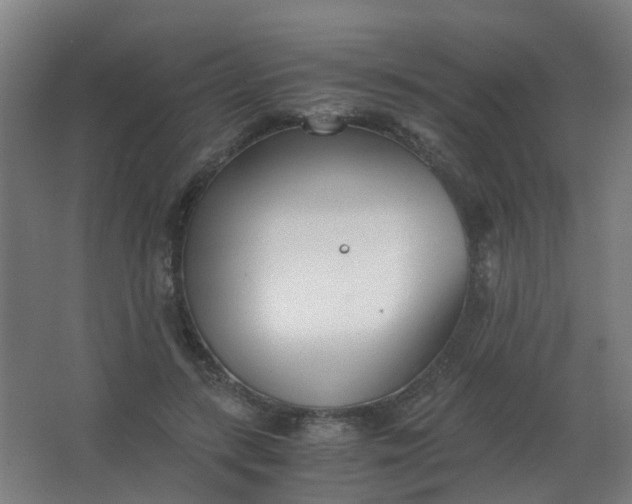 X0000063520547200602032112