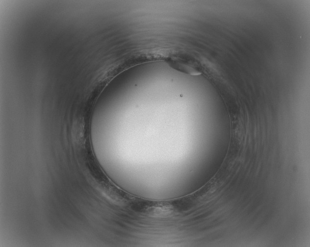 X0000063520548200602032112