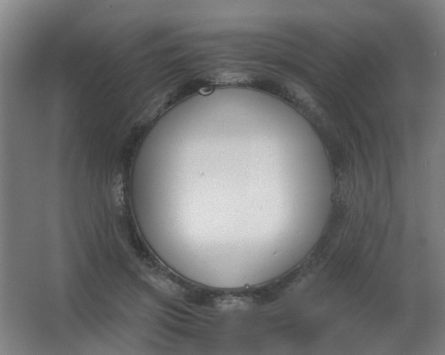 X0000063520549200602032112