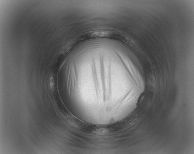 X0000063520551200602032113