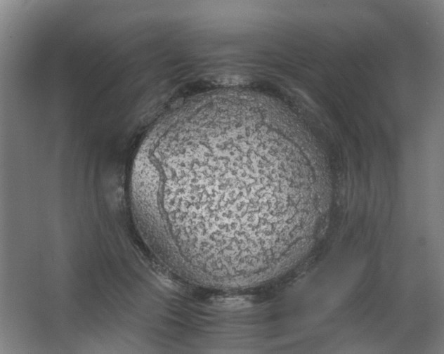 X0000063520553200602032113