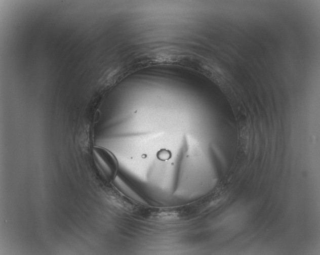 X0000063520554200602032113