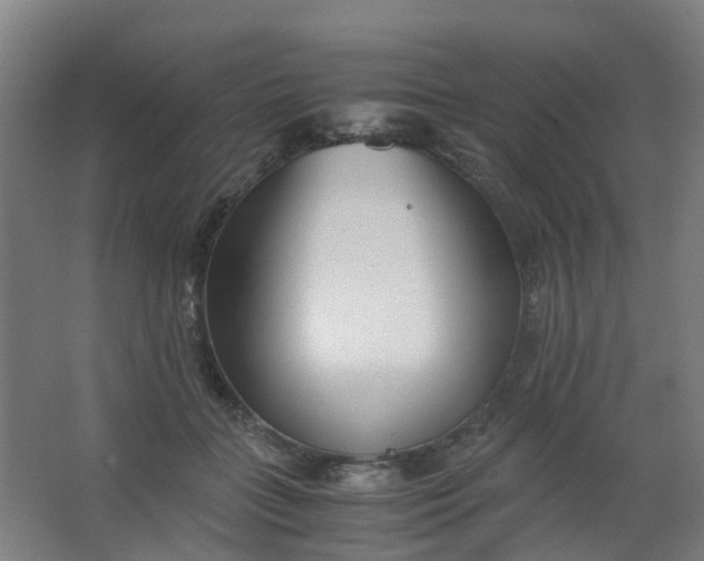 X0000063520555200602032113