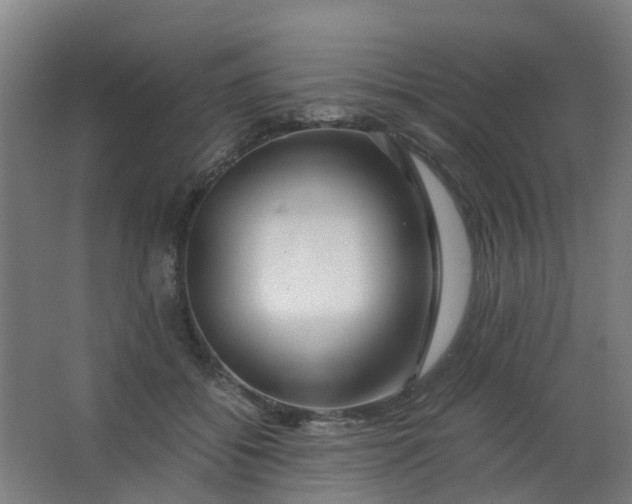 X0000063520556200602032113