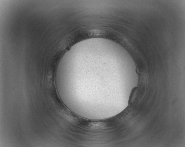 X0000063520557200602032113