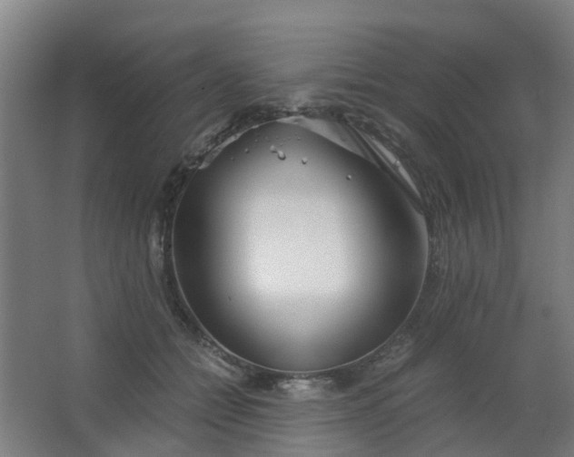 X0000063520558200602032113