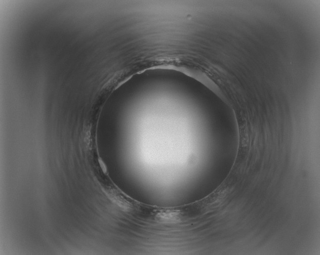 X0000063520560200602032113