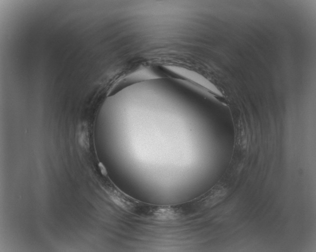 X0000063520562200602032113