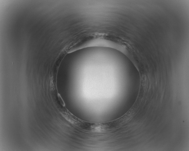 X0000063520564200602032113