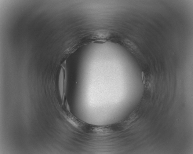 X0000063520568200602032113