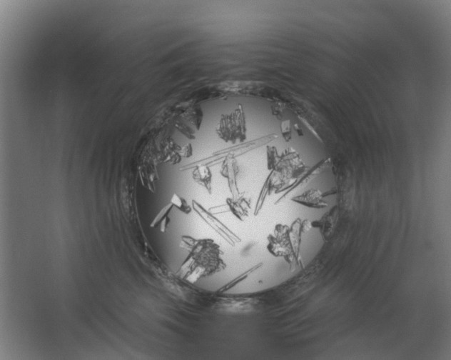 X0000063520569200602032113