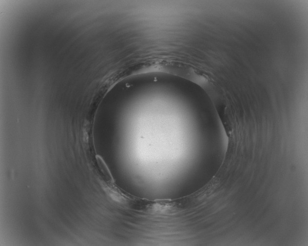 X0000063520570200602032113