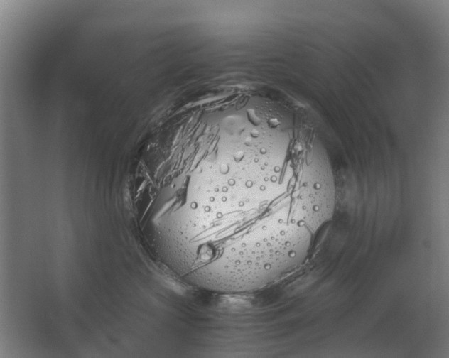 X0000063520573200602032113