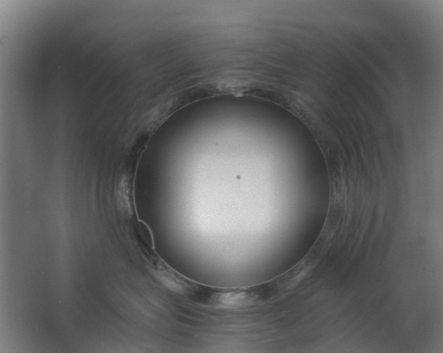 X0000063520575200602032113