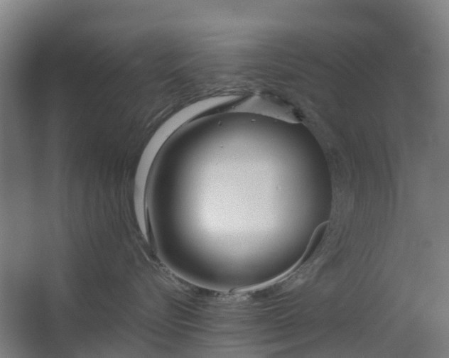 X0000063520576200602032113