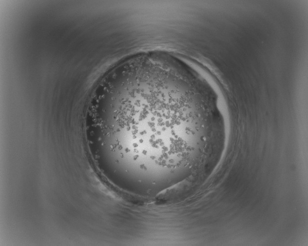 X0000063520577200602032112