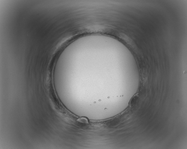 X0000063520583200602032112