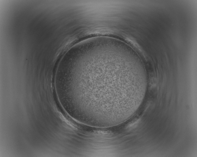 X0000063520585200602032112