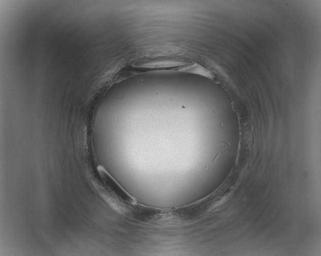 X0000063520589200602032112