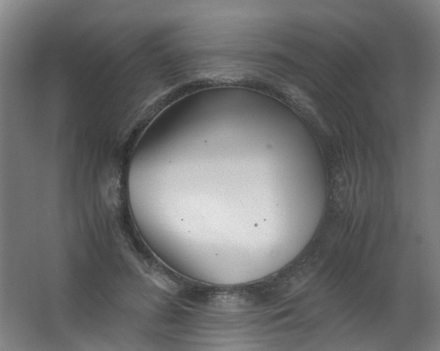 X0000063520596200602032112