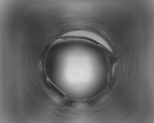 X0000063520597200602032112