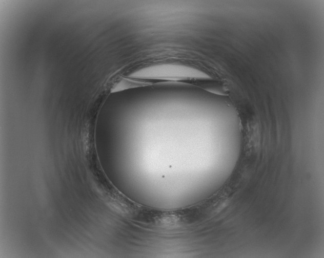 X0000063520600200602032112