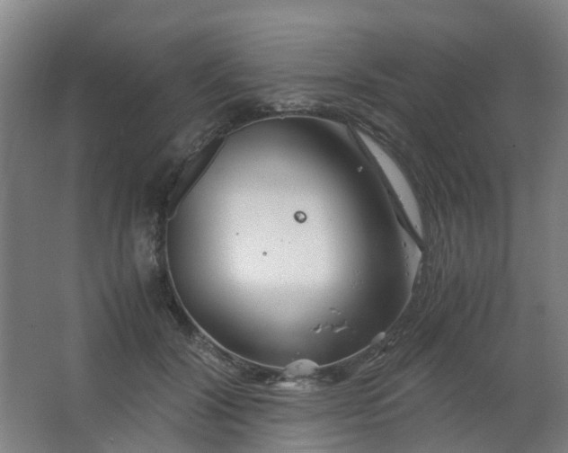 X0000063520604200602032112