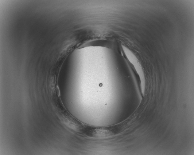 X0000063520605200602032112