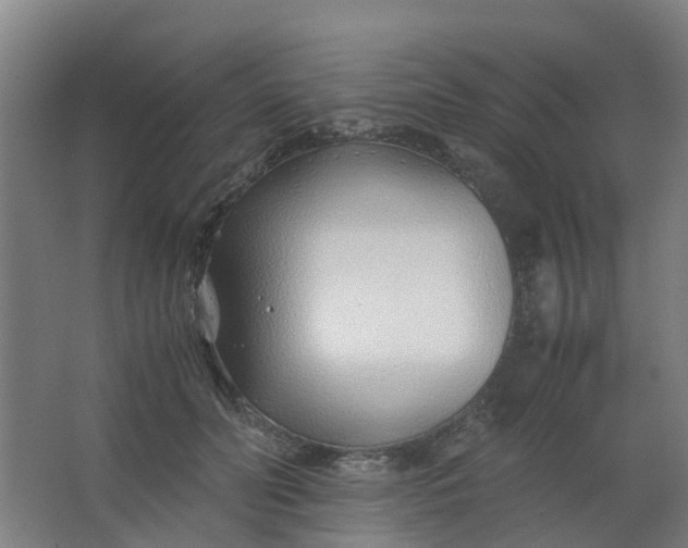 X0000063520606200602032112