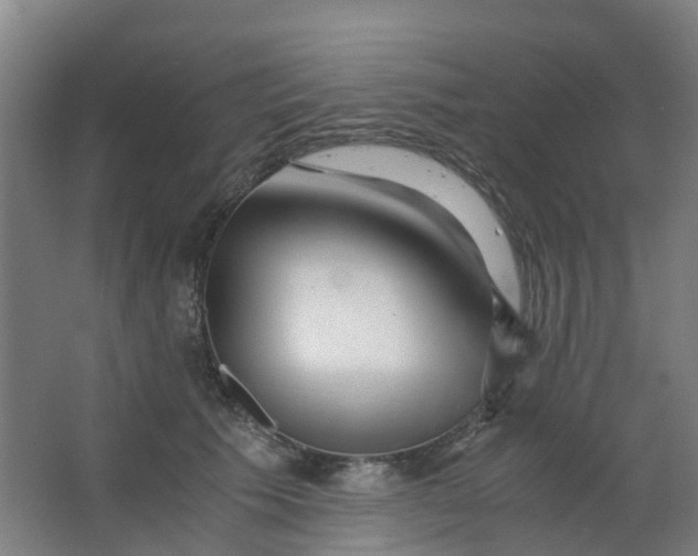 X0000063520609200602032112