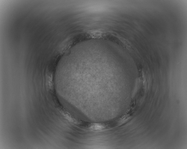 X0000063520610200602032112