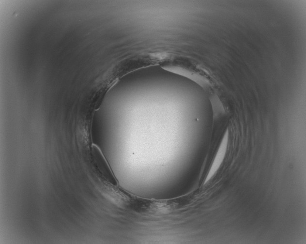 X0000063520613200602032112