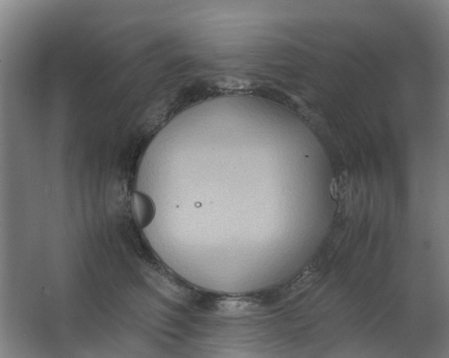 X0000063520614200602032112