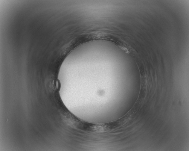 X0000063520615200602032112