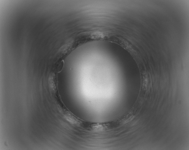 X0000063520616200602032111