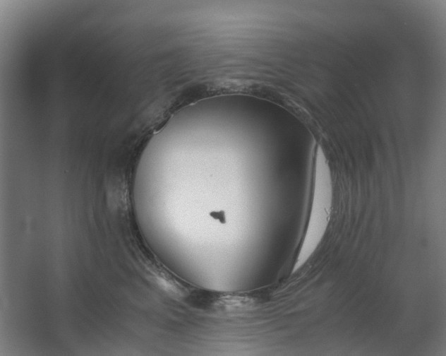 X0000063520617200602032111