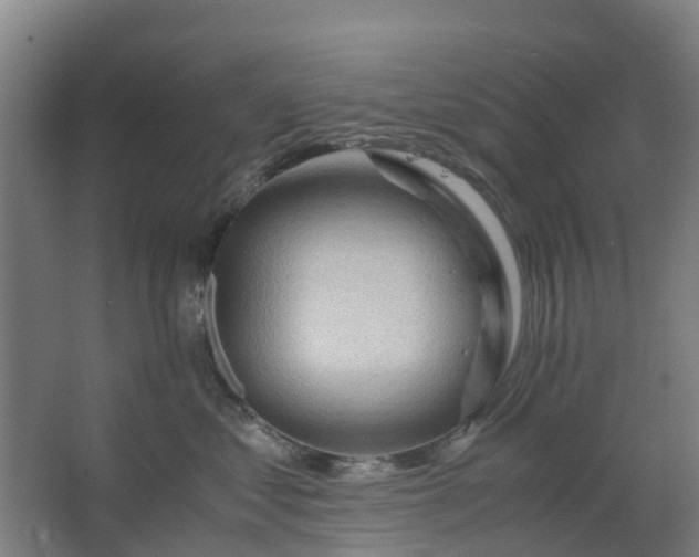 X0000063520621200602032111