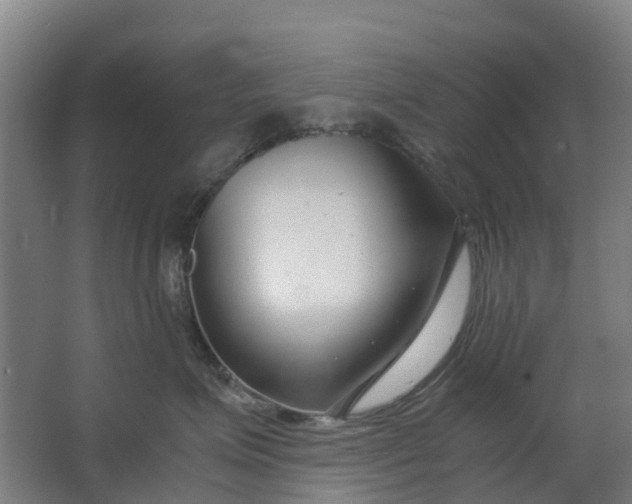 X0000063520623200602032111