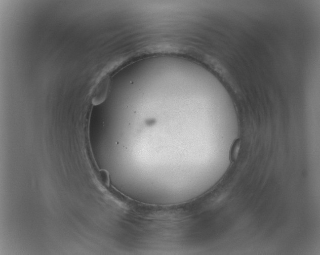 X0000063520625200602032111