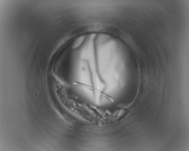 X0000063520626200602032111