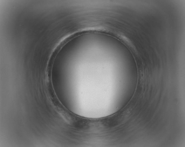 X0000063520628200602032111