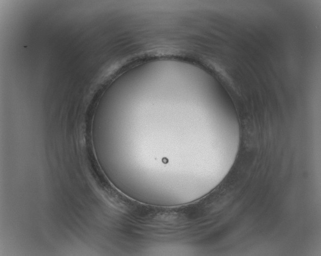 X0000063520631200602032111