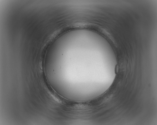 X0000063520633200602032111