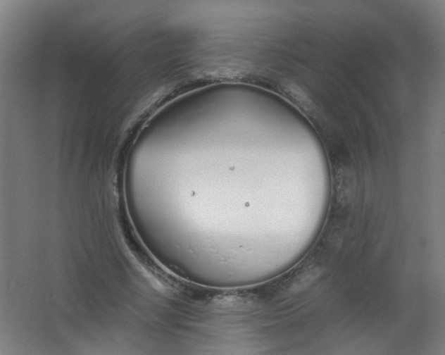 X0000063520634200602032111