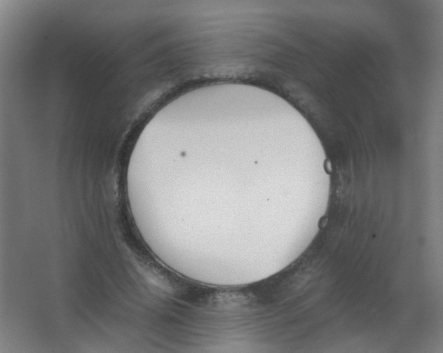 X0000063520636200602032111