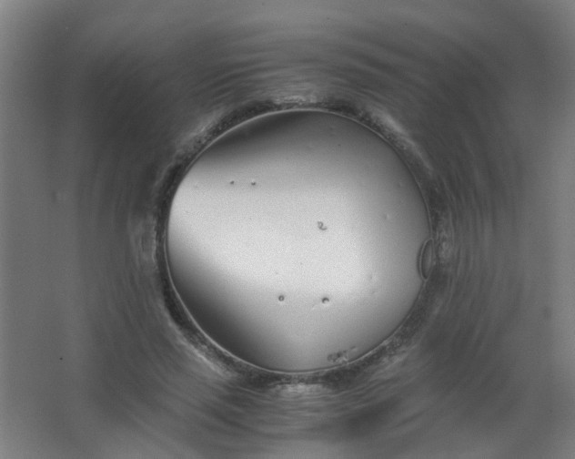 X0000063520637200602032111